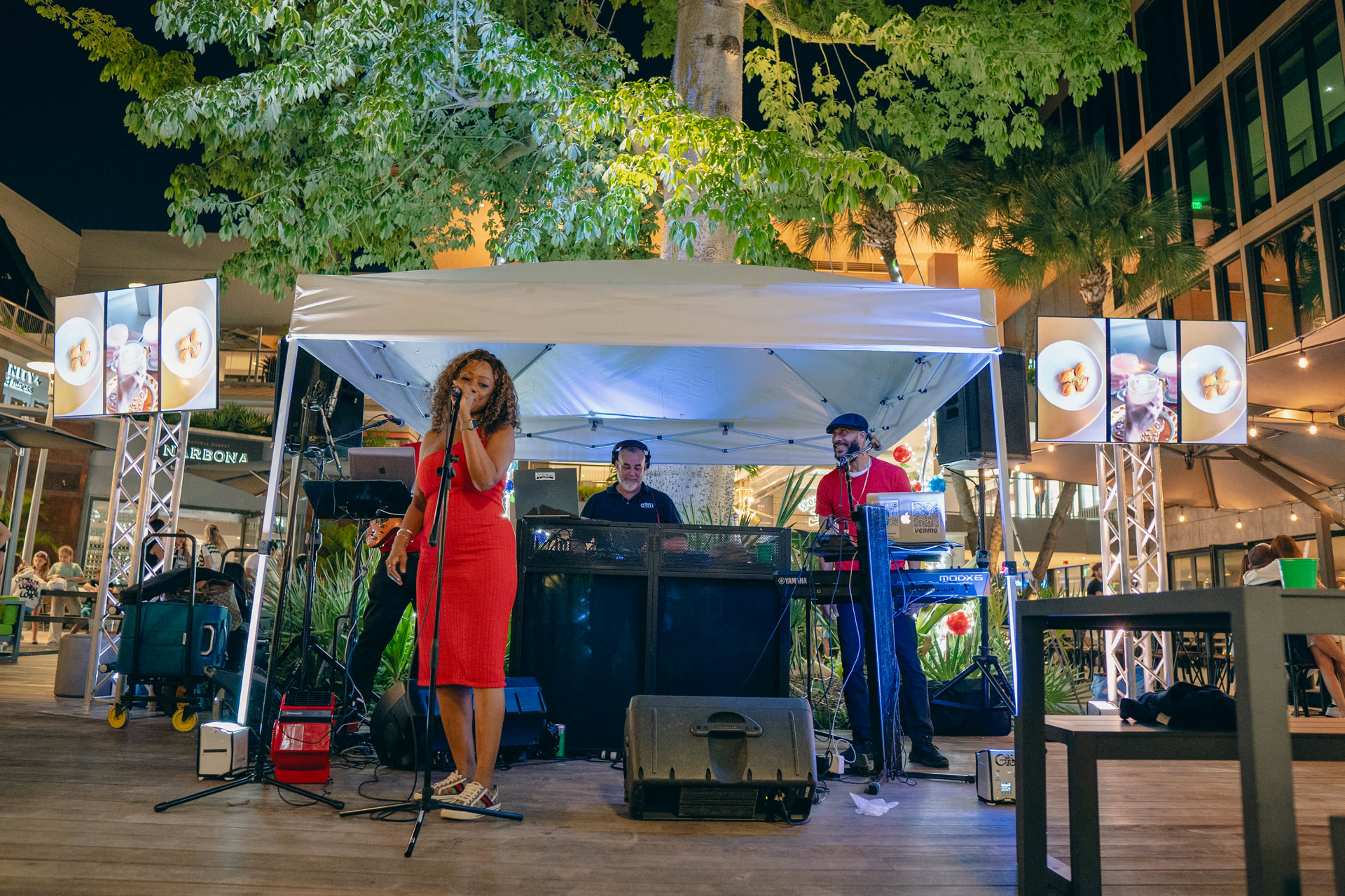 Live DJ and vocalist performing at the Coconut Grove Tree Lit holiday event